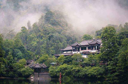 青城山的台阶是对膝盖的考验