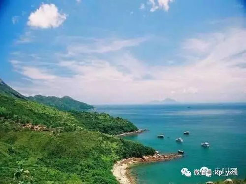 南丫岛：当“没名气”变成最值钱的通行证