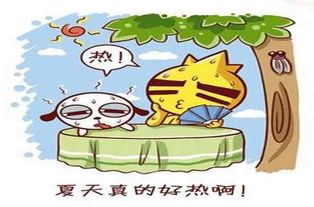改柯易节是哪一年属什么生肖？热夏高温易中暑的生肖是哪个？