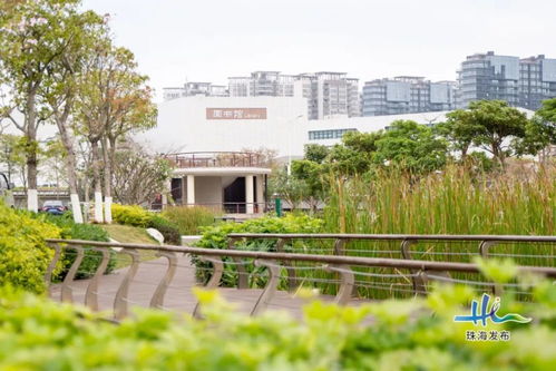 第五站：春熙公园， 城市里的一片绿洲