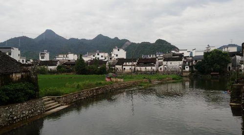 婺源：油菜花？全是人脑袋！