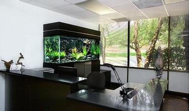 三、 星座视角——星光下的浴缸布局指南