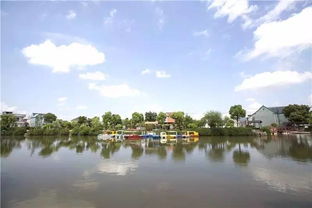 玩什么？除了发呆还能干嘛