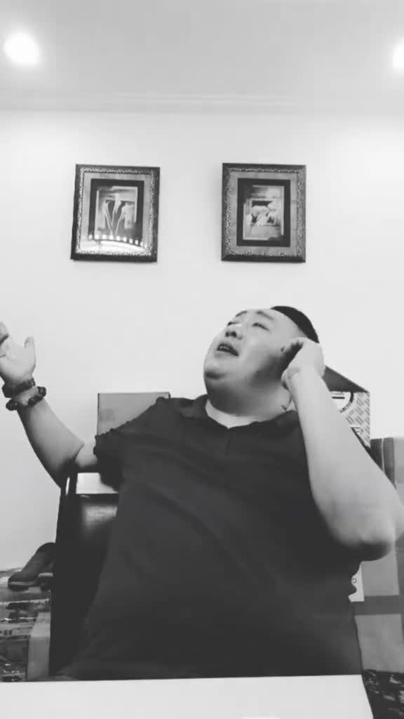 郭风的身影与致命一击