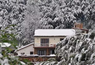 2026年黄历警告！