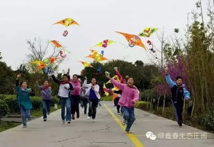 放风筝？不如放鸽子！