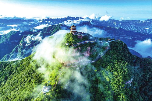 春日里的那一抹骚动