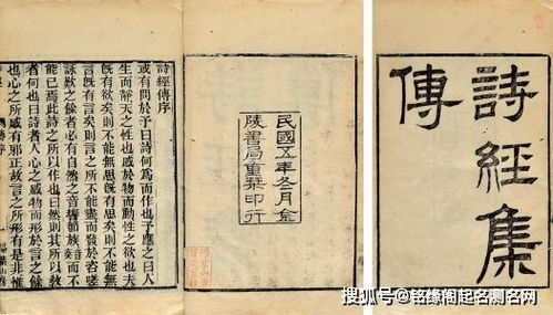 一、 前言——仇姓女孩起名的“灾不容简单”开场白