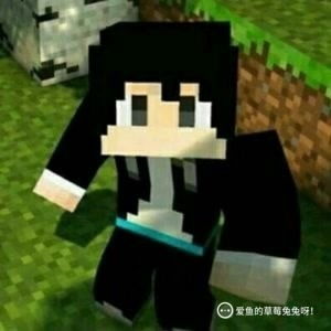 二、 木鱼的世界：简洁到爆炸