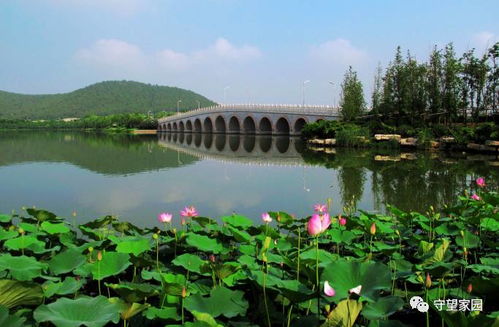 云龙湖沙滩：2026年带娃必去的风水宝地