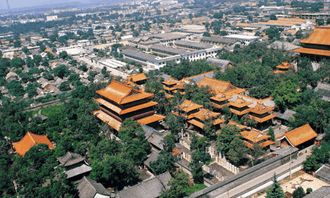 Ni Shan Holy Land! 尼山圣境必须去打卡!