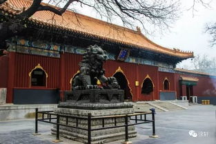 门票市场价格详情