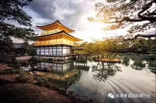 长春深度游——古韵新体验的乱炖版一日精华