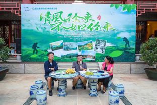 独特体验， 深度游学