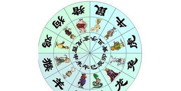 时辰八字起名：命运的微妙调谐？