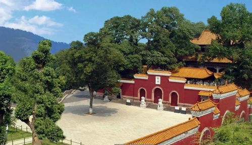 开福寺四柱八字培训班中，哪场四柱八字讲座评价最好？