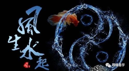 啊！惊呆！原来这就是传说中的