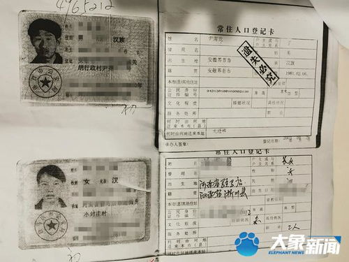 属相之谜