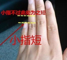人中龙凤手相分析图解中，人中龙凤是什么意思？