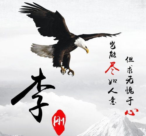 四、 如果不满意，这里有更烂、更“创意”的备选方案（随意挑）