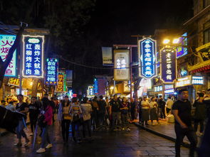 寻宝开始：寻找隐藏的美味与特产