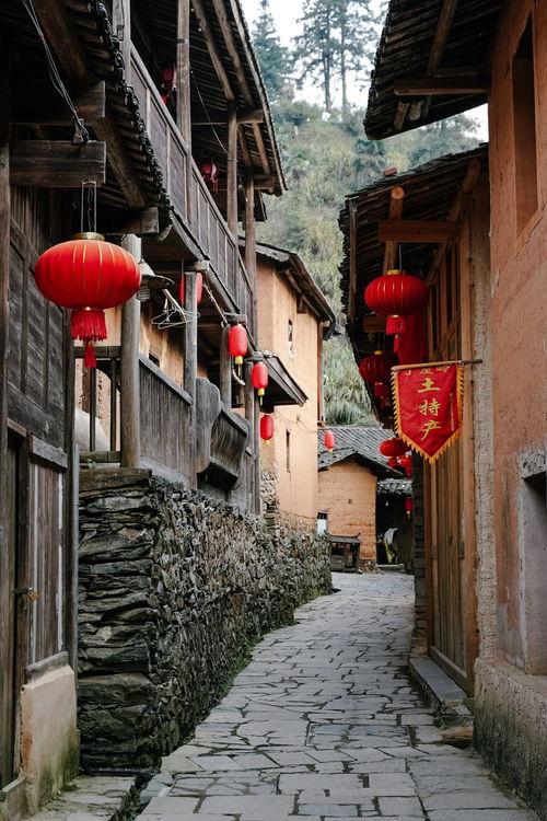 惯与人山人海