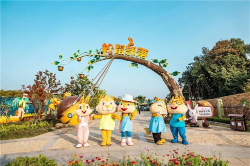 二、萌宠乐园：小动物们才是真正的明星