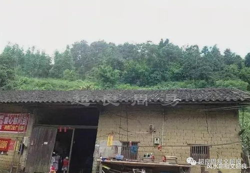四、风水布局——房屋、办公桌和手机都不放过！