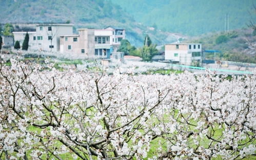 寻觅乌当的烟火气：下坝镇那一些藏着故事的民宿