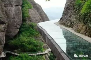 玻璃栈道：一场关于尖叫与自拍的荒诞剧