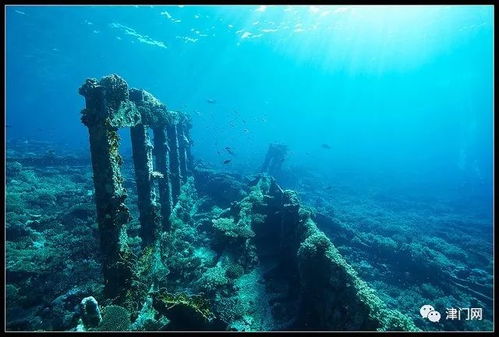 第三站：深海热泉——天然温泉加辣椒酱版