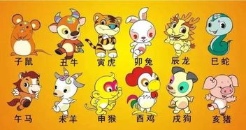 3. 动物+天然元素——可炎热爱又富有市场价格较高，但简单被误觉得宠物店？😜🤔