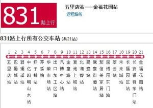 差异化策略：公交公司的救赎之路