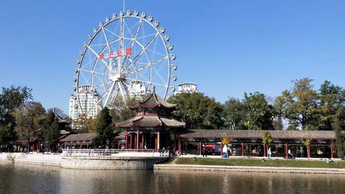 初印象：水上公园的神话与现实