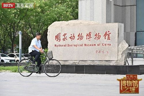 二、 交通攻略：便捷直达，轻松启程