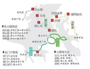 武汉到亳州：一场让人崩溃的“文化苦旅”