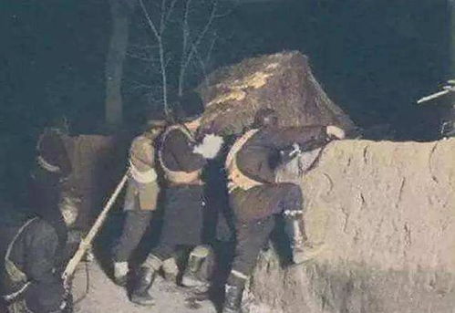 哪个生肖与土匪形象最为契合，最像土匪的生肖是哪一个？