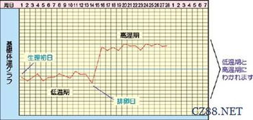 二、怎样计算自己的来潮（月经）日期？