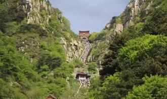 四、  案例分享：泰山研学之旅
