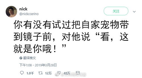 天生注定要下厨房，这究竟是天赋还是社会刻板印象？