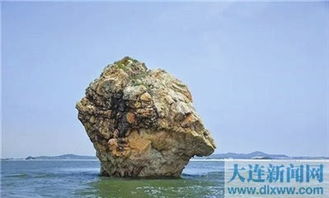 二、 海洋文化节——狂欢与尴尬并存