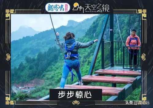 龙腾凤舞：混沌之中找方向