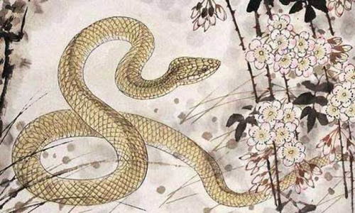 属蛇男性遭遇凶星入命具体会带来哪些不良影响和后果？