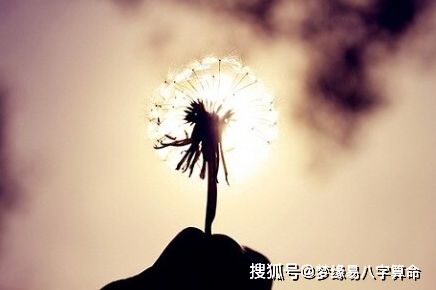 什么样的八字有利于事业成功，妻子又能助力事业发展的八字特点有哪些？