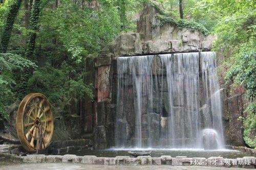 森林里的“隐形”景点
