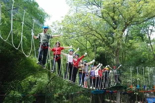 免费畅游， 南江景区门票优惠来袭——噪音版