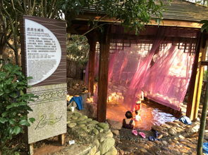 维景国际：爬山后的救星