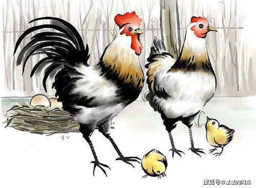 二、半夜啼鸣：生肖与命运的谶语