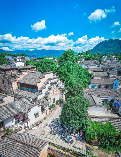 导航是个好东西…但别玩全信它