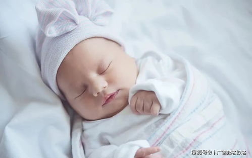 斜姓女宝宝， 取名宜雅致清新